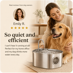 Premium Stainless Steel Dog Drinking Fountain | SipPup by Sipkitty