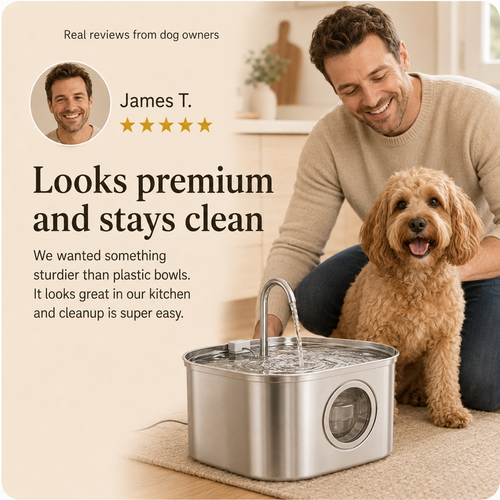 Premium Stainless Steel Dog Drinking Fountain | SipPup by Sipkitty