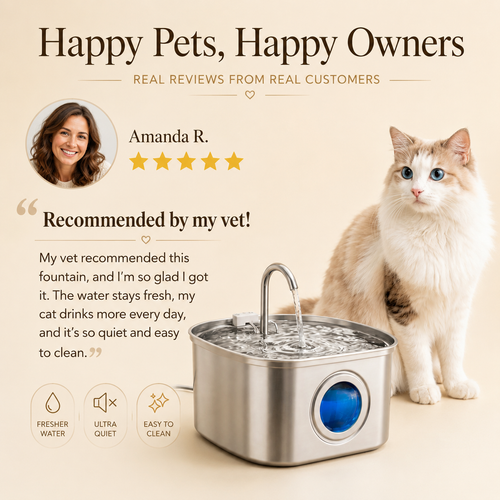 Stainless Steel Cat Water Fountain 3.2L | Sipkitty