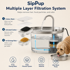 Premium Stainless Steel Dog Drinking Fountain | SipPup by Sipkitty